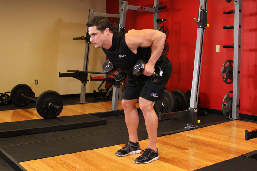 Two-Dumbbell Bent-Over Row end ki position