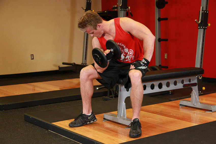 Concentration Curl end ki position