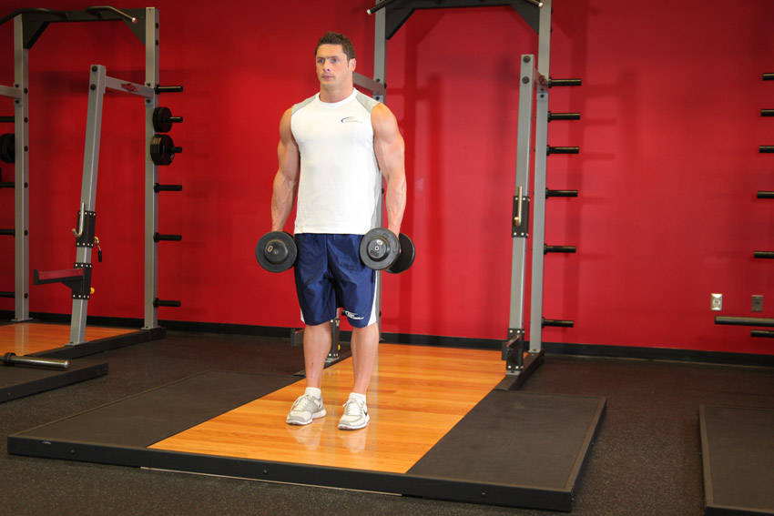 Dumbbell Curl shuru ki position