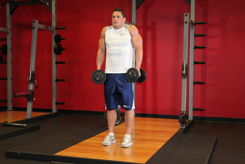 Dumbbell Shrug end ki position