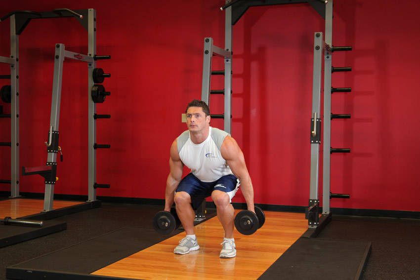 Dumbbell Squat end ki position