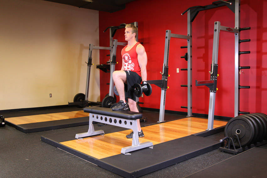 Dumbbell Step-Up end ki position
