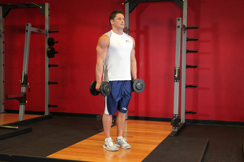 Hammer Curl shuru ki position