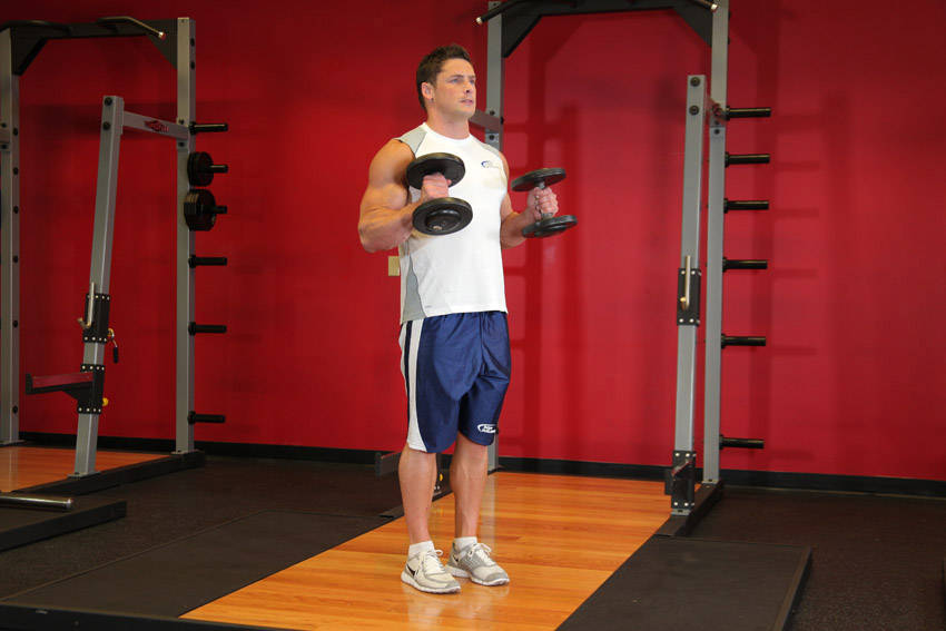 Hammer Curl end ki position