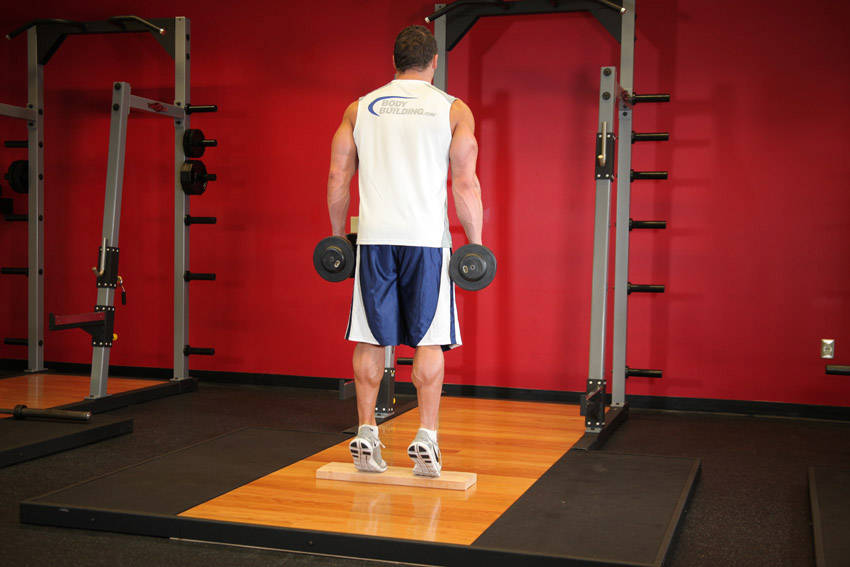 Dumbbell Calf Raise end ki position