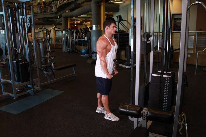 Triceps Pushdown end ki position